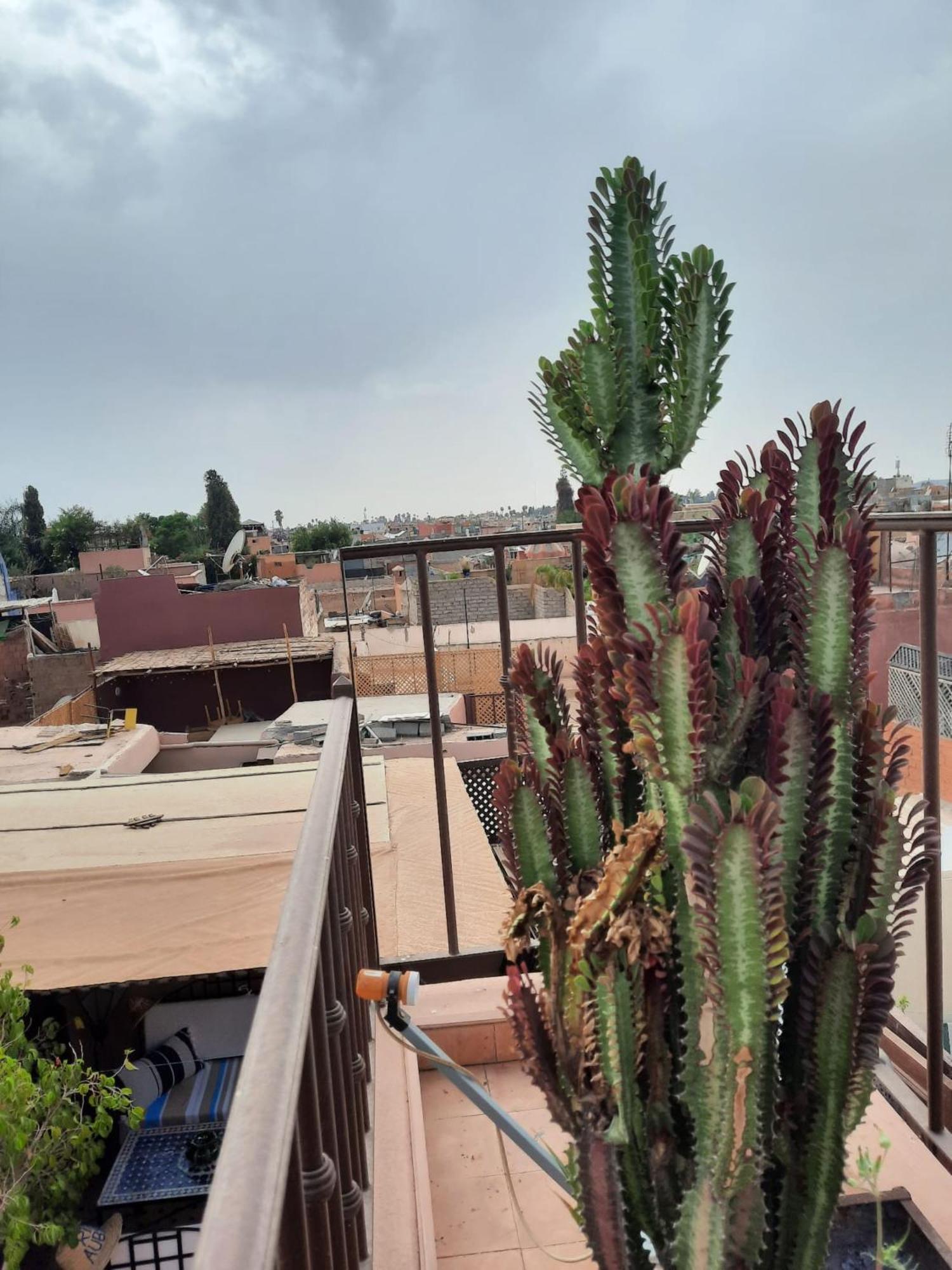 Riad Aubrac Marrakesh Eksteriør bilde